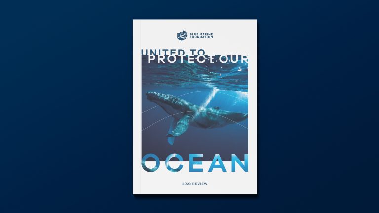 Blue Marine Foundation 2023 review front cover - united to protect our ocean with a blue whale photo.